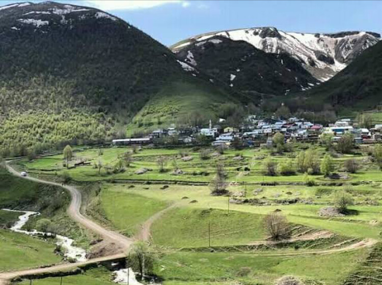 görüntü