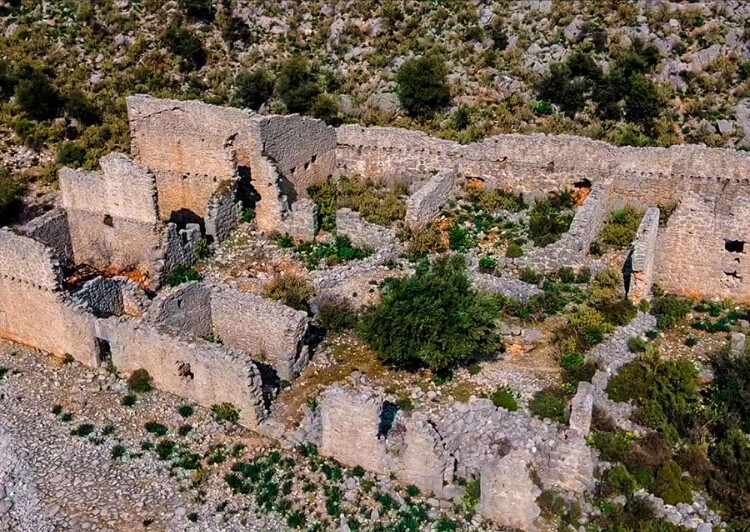 görüntü