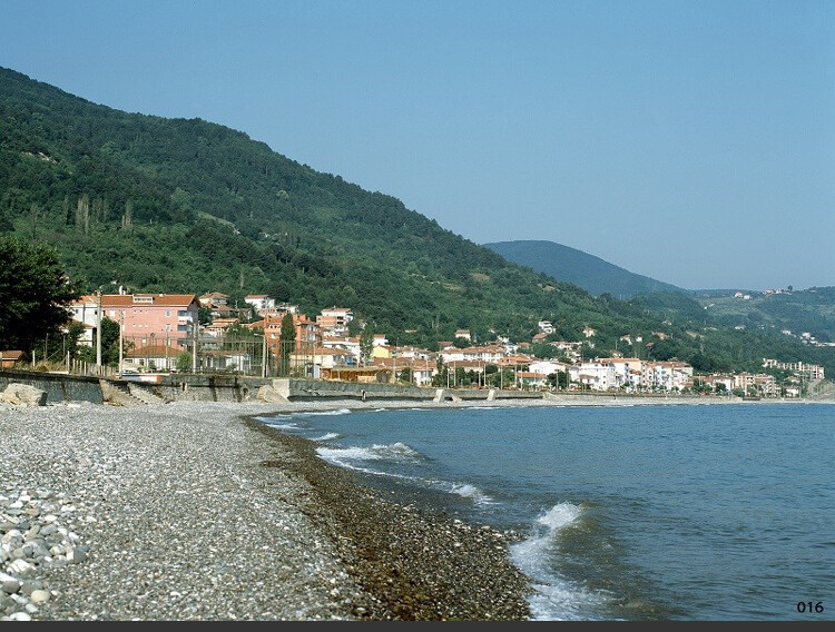 görüntü