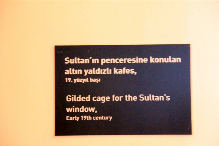 görüntü
