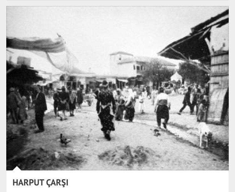 görüntü