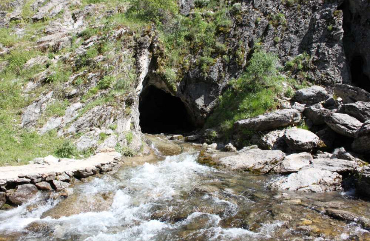 görüntü