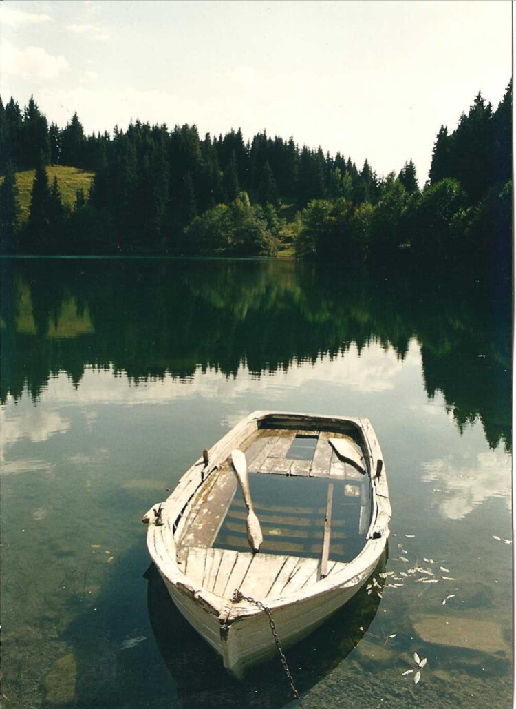 görüntü