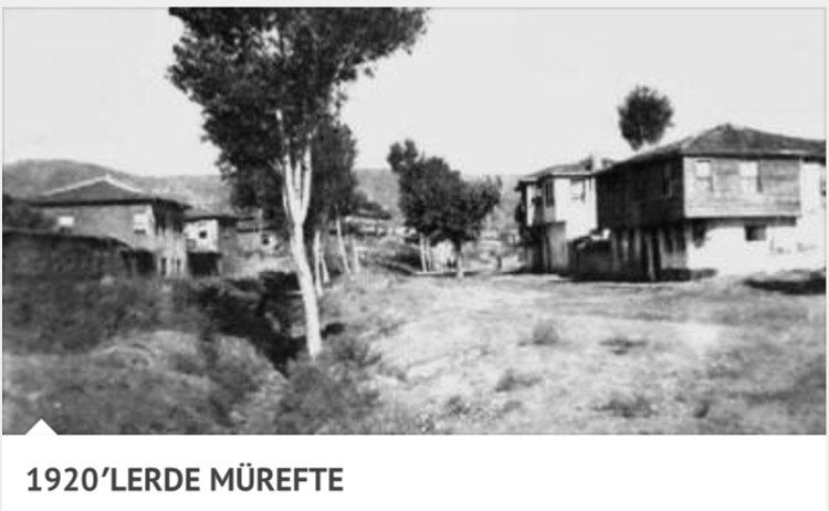 görüntü