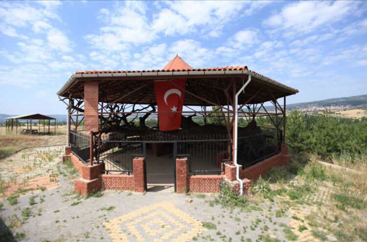 görüntü