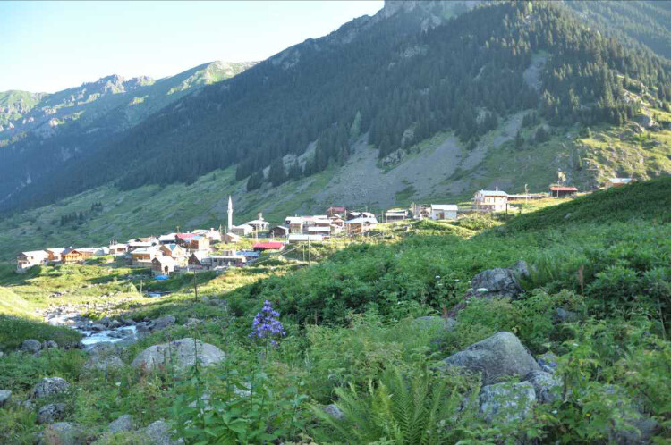 görüntü