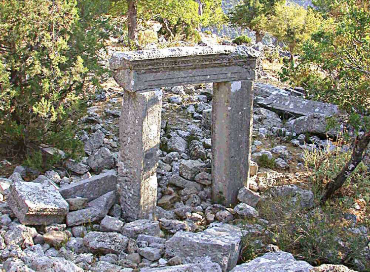 görüntü