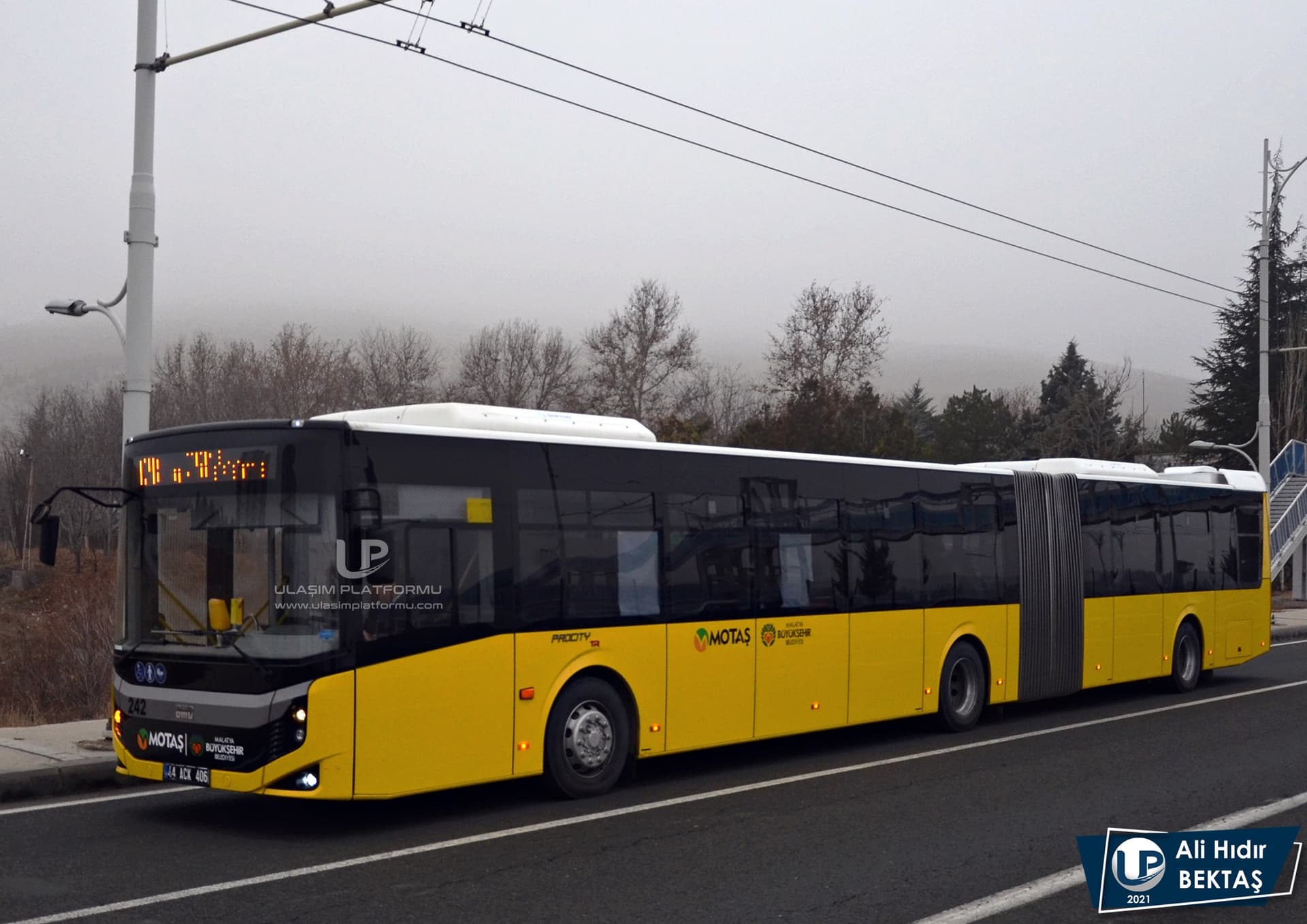 AHB_9813