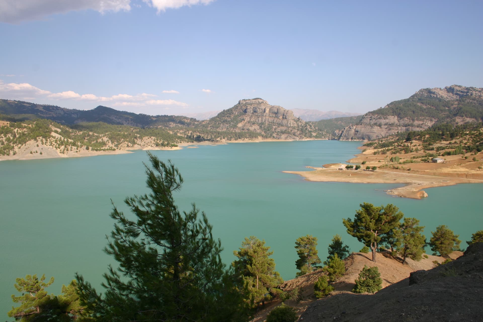 ali-kayasi-3