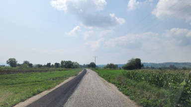 andirin_5