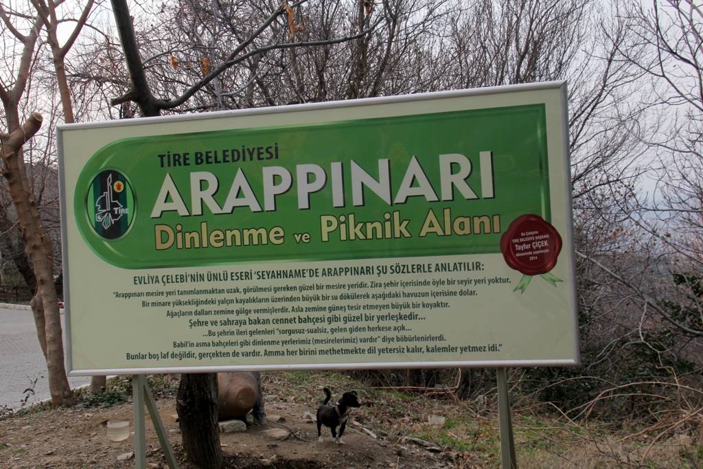 arappinari-mesire-alani-4