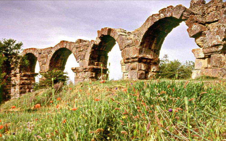 görüntü
