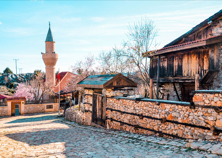 görüntü