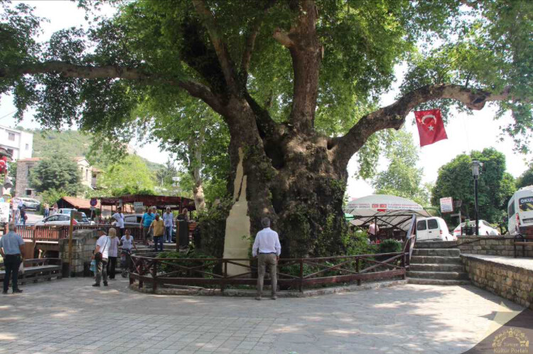 görüntü