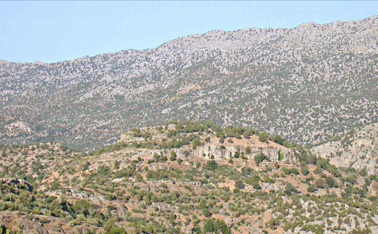 görüntü