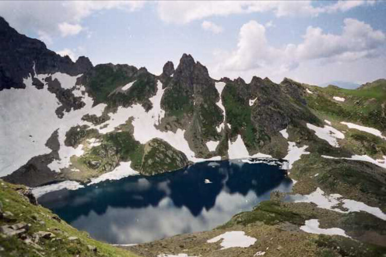 görüntü