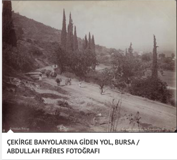 görüntü