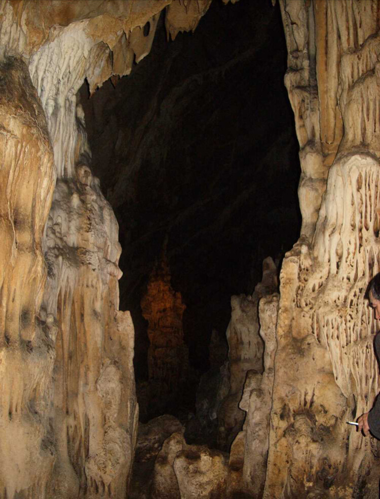 görüntü