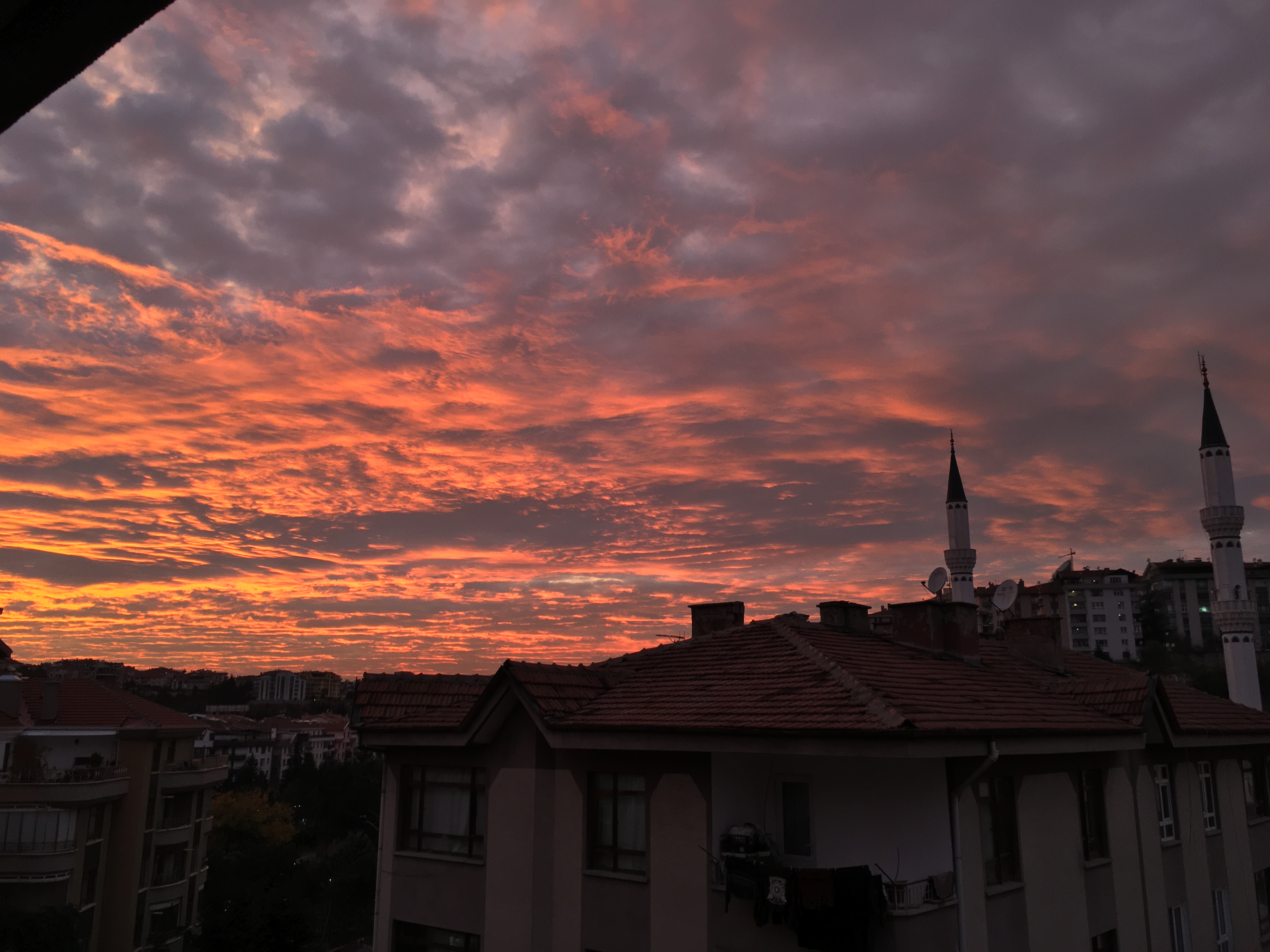 görüntü