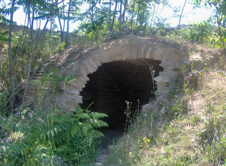 görüntü