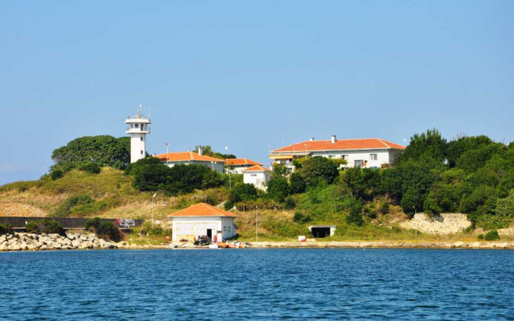 görüntü