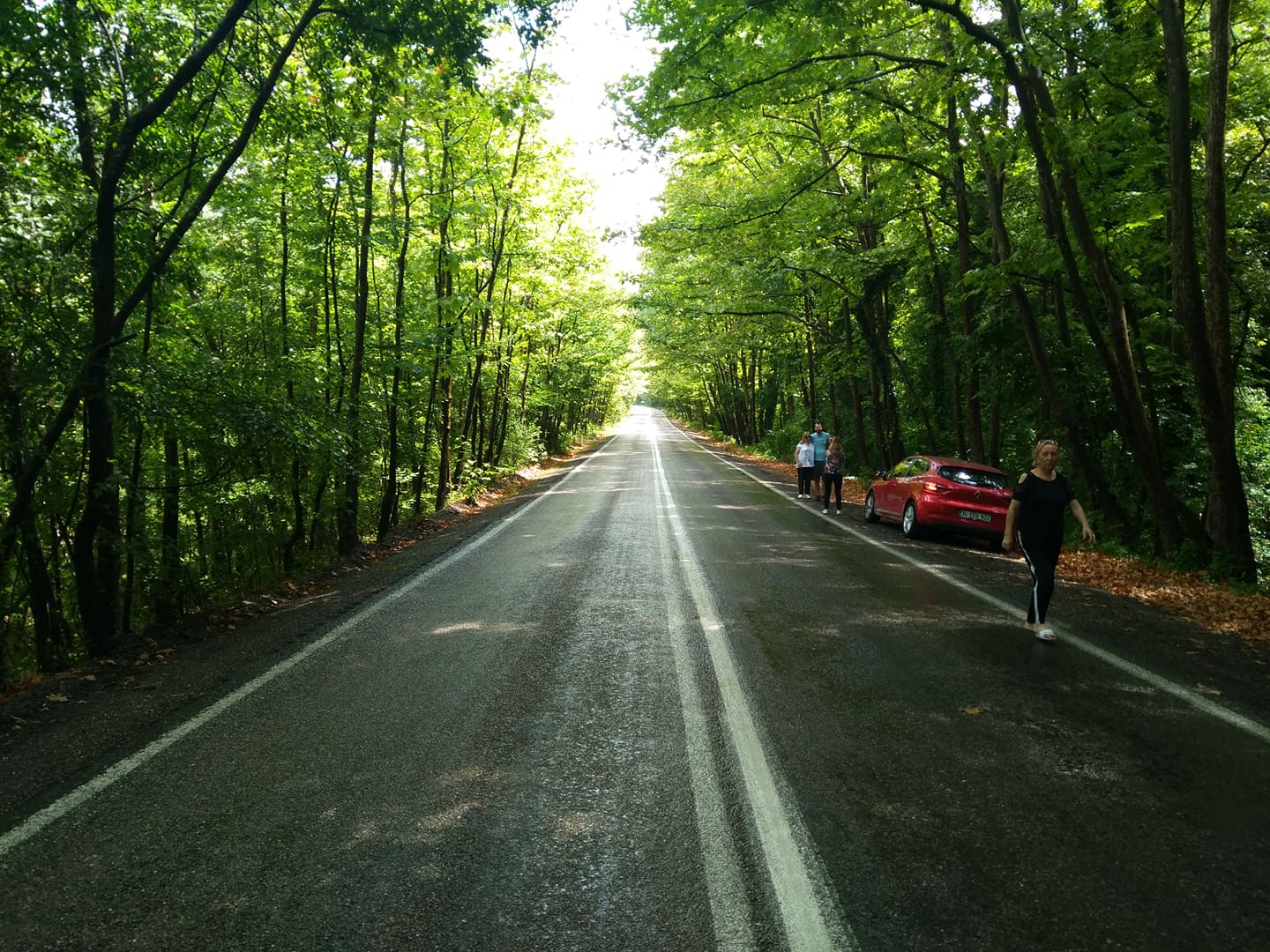 BartınS.bolu