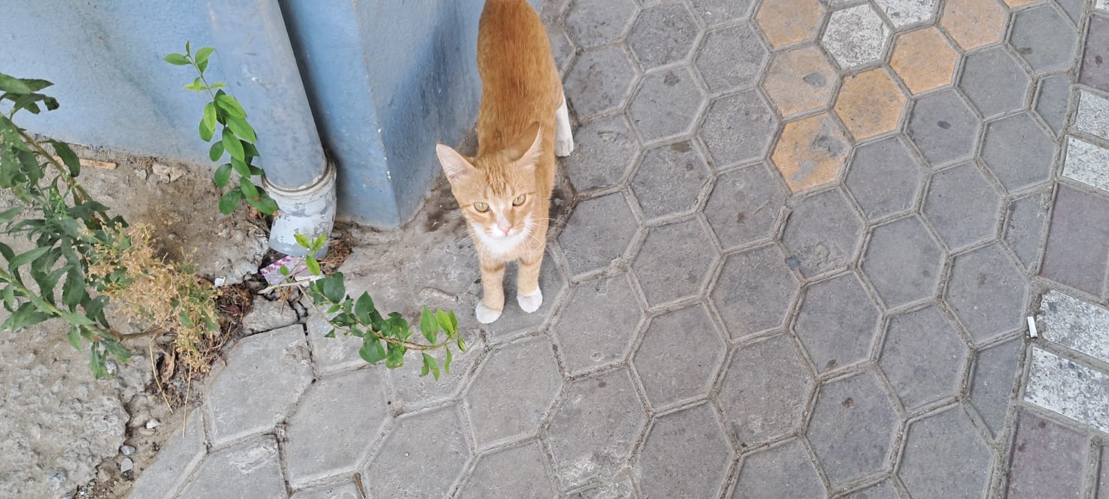 Başlıksız