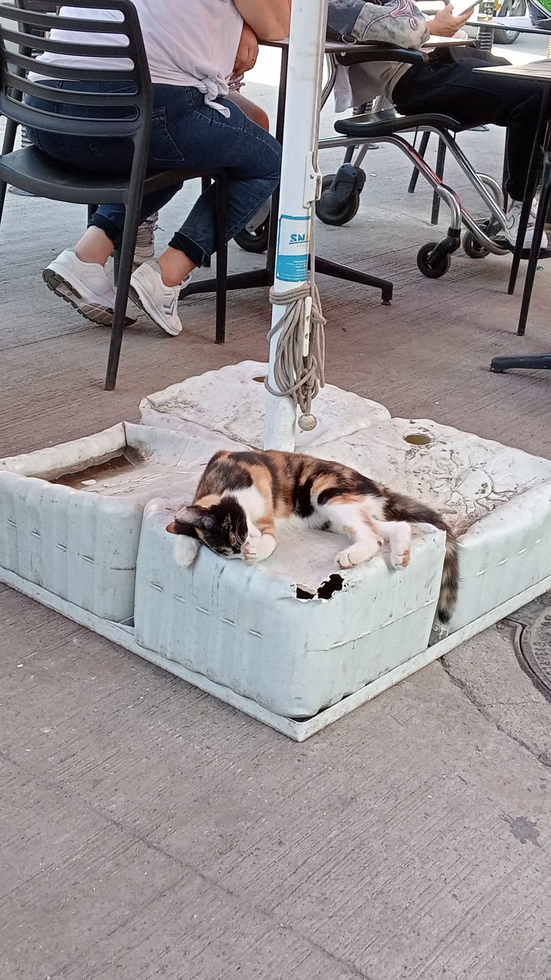 Başlıksız