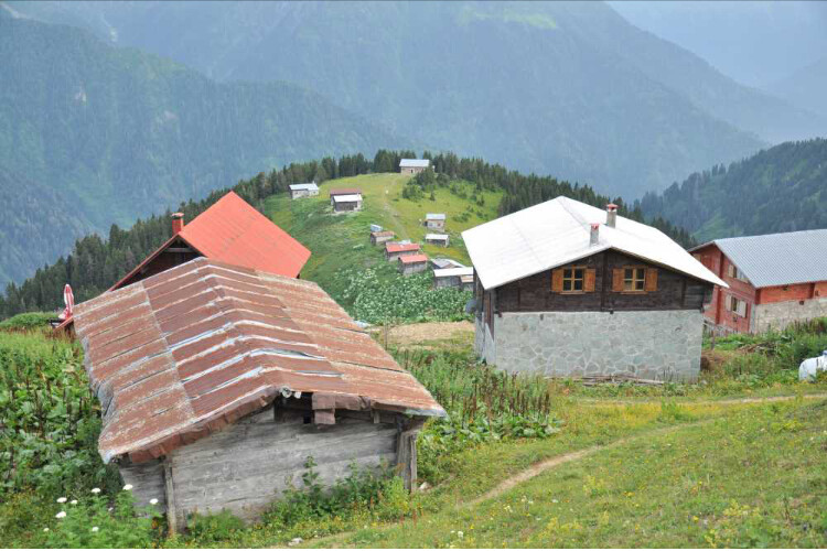 görüntü