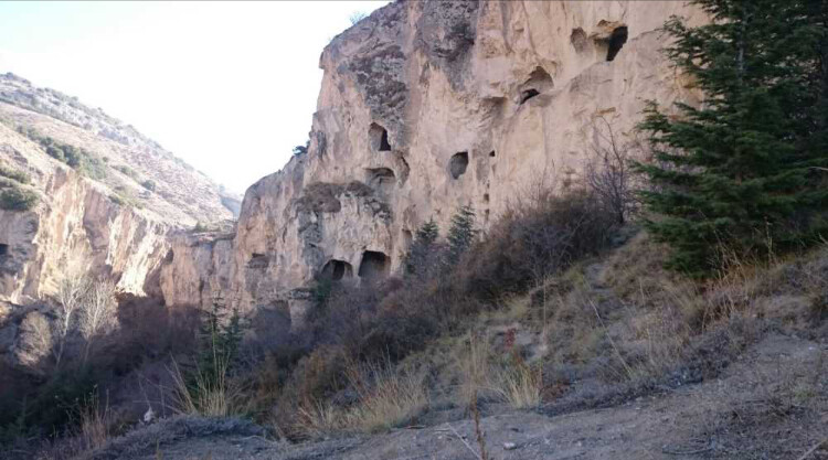 görüntü