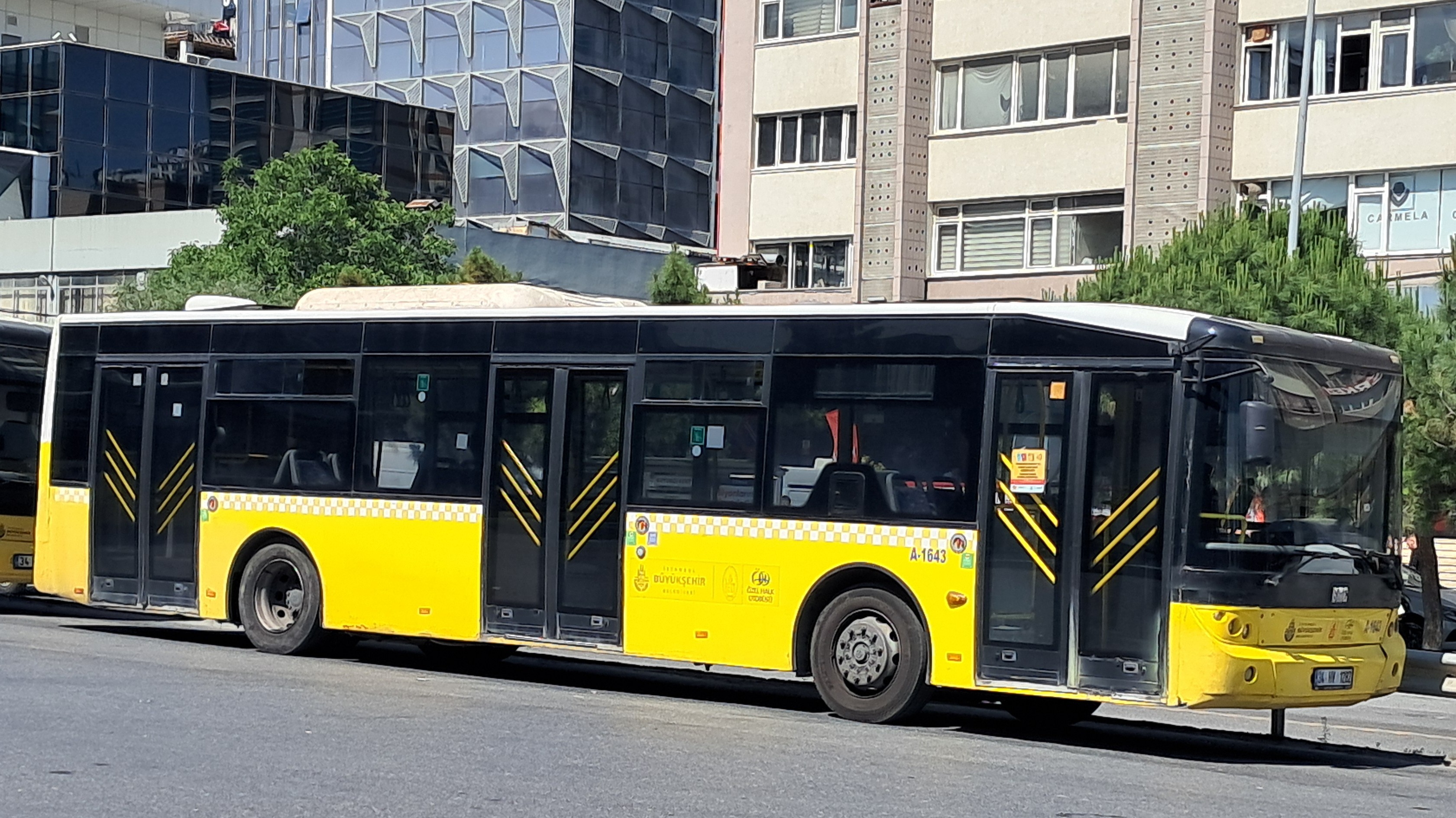 bdf7e38.jpg