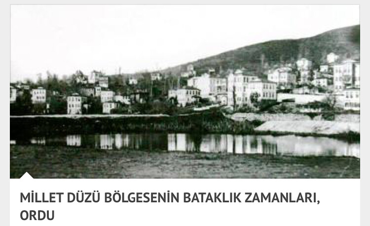 görüntü