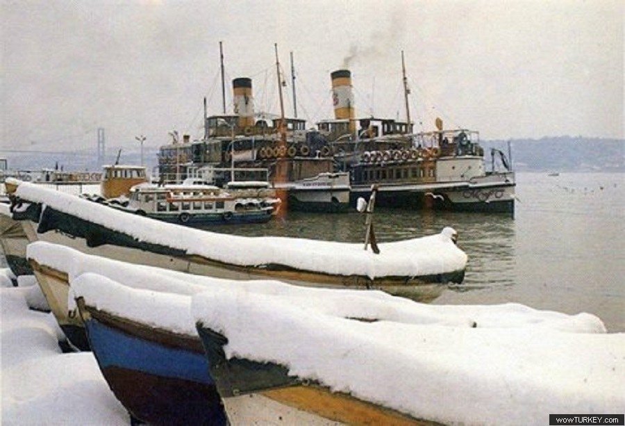 Besiktas Karli.jpg
