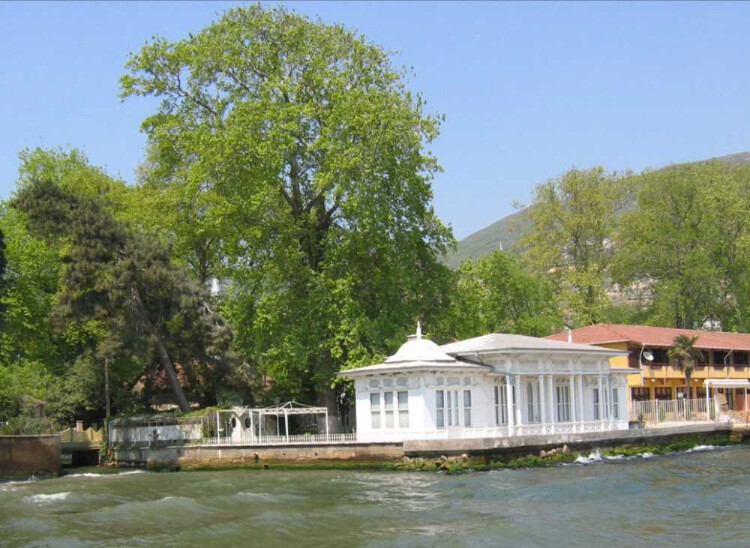 görüntü