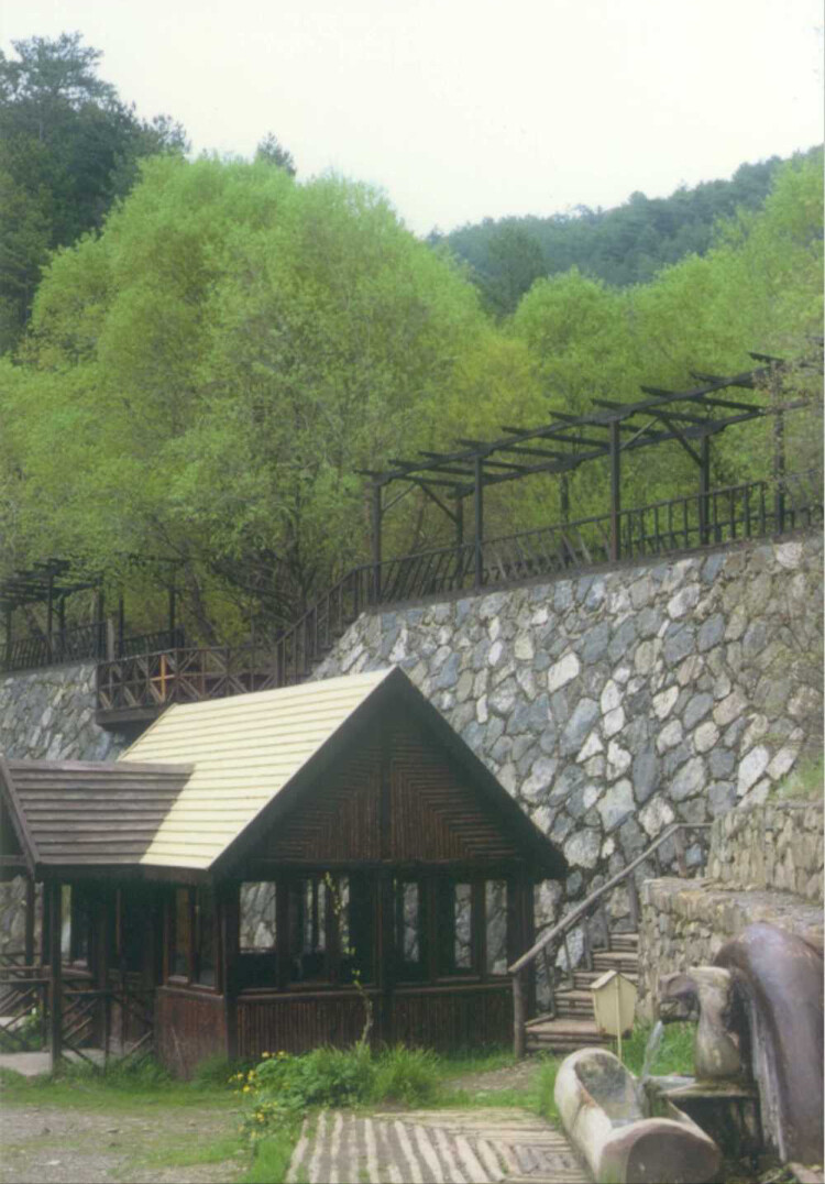 görüntü