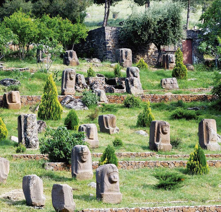 görüntü