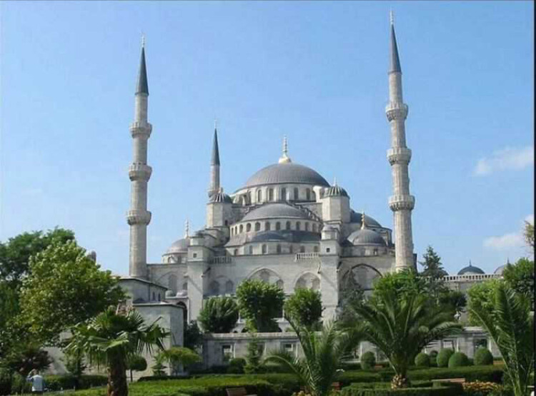 görüntü