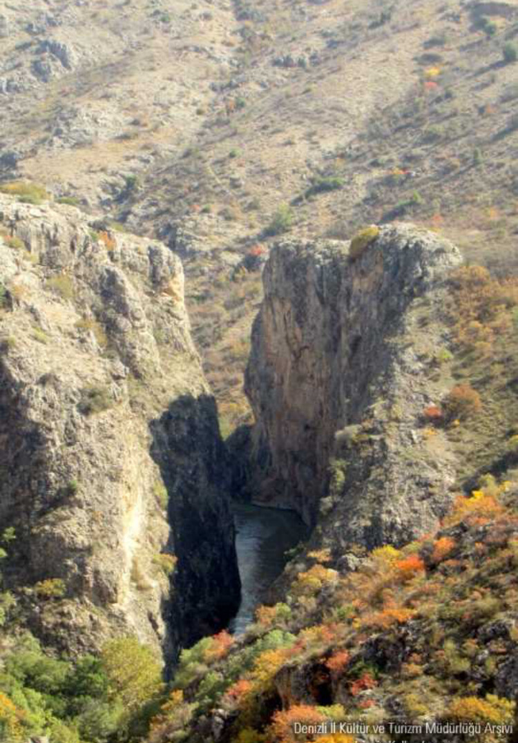 görüntü