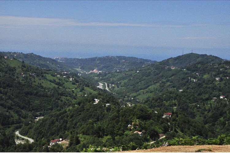 görüntü