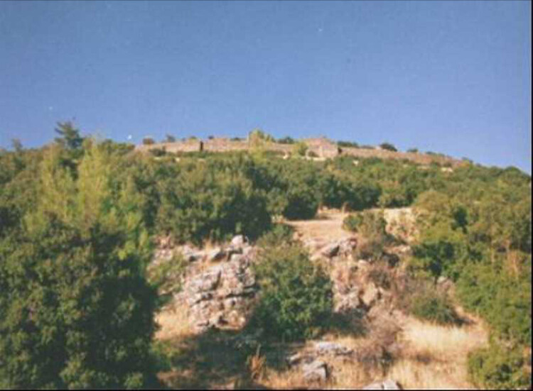 görüntü
