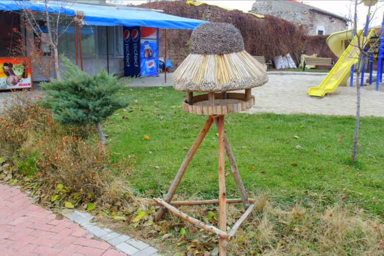 görüntü