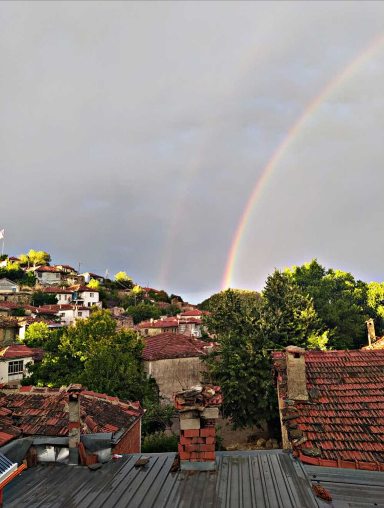 görüntü