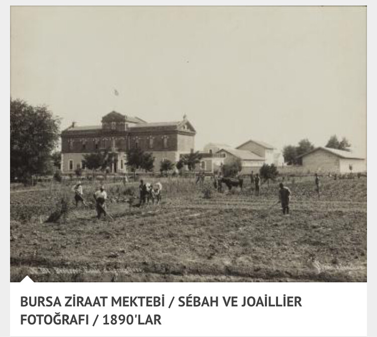 görüntü