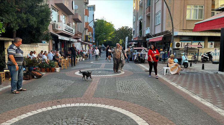 görüntü