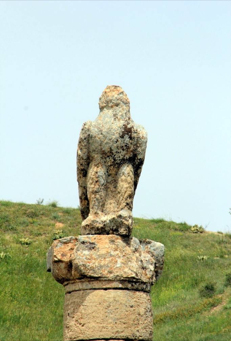 görüntü