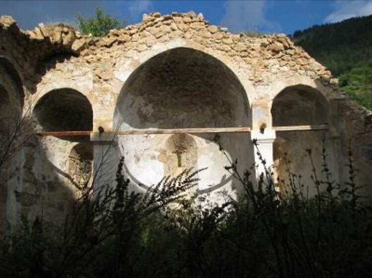 görüntü