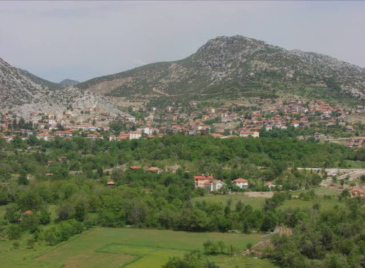 görüntü
