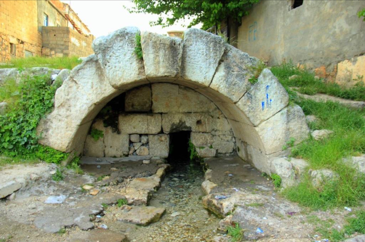 görüntü