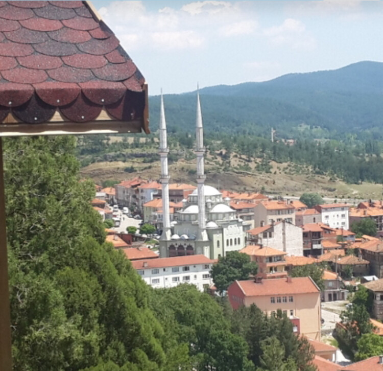 görüntü