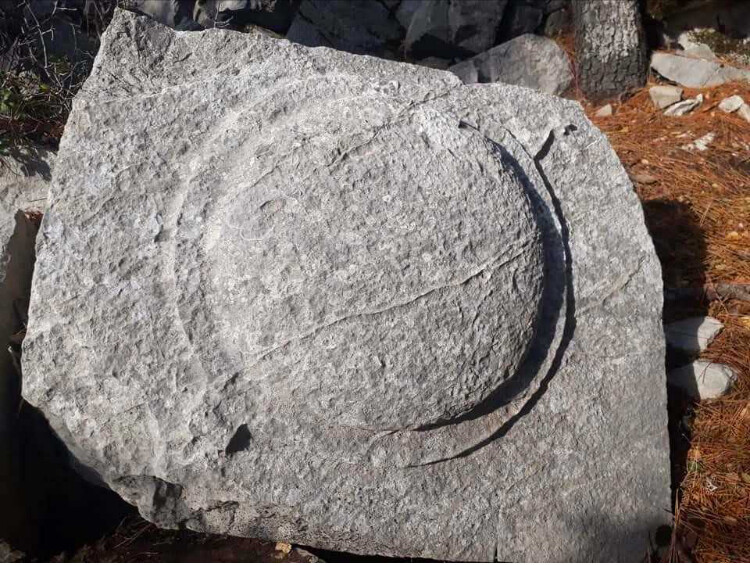 görüntü